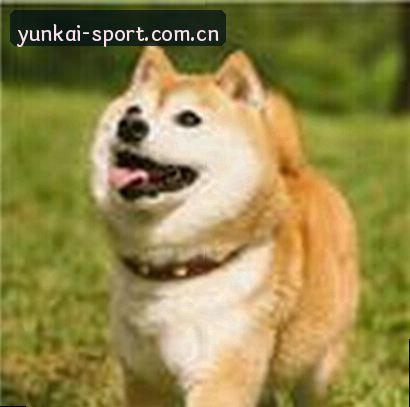 李伟